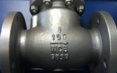 Carbon Steel Check Valves