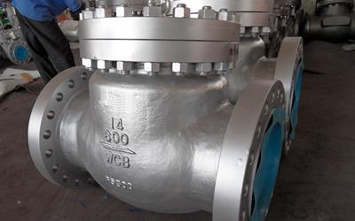 Alloy 20 Check Valves