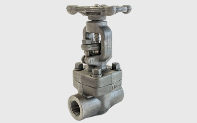 Duplex Steel Threaded Gate Valve